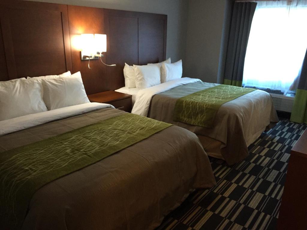 Queen Room with Two Queen Beds – Non-Smoking