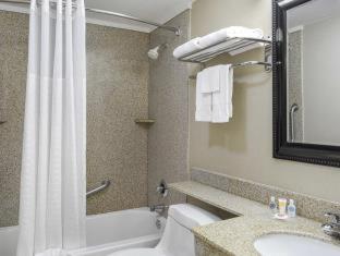 Standard Double Room with Two Double Beds – Non Smoking