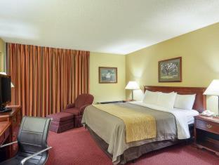 Standard Double Room with Two Double Beds – Non Smoking