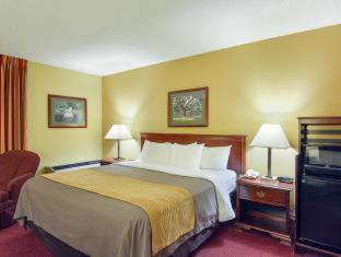 Standard Double Room with Two Double Beds – Non Smoking