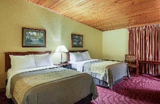 Standard King Room – Non Smoking