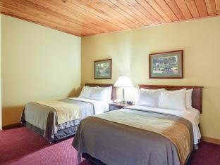 Standard King Room – Non Smoking