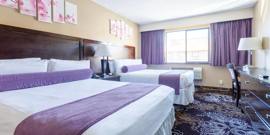 Accessible King Non Smoking