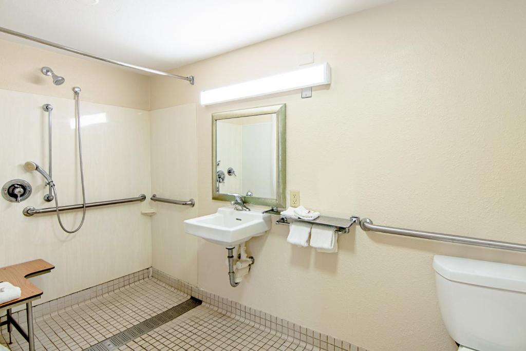 Standard King Room Disability Access Roll-In Shower Non-Smoking