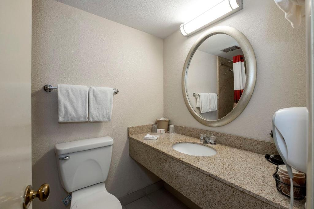 Standard King Room Non-Smoking