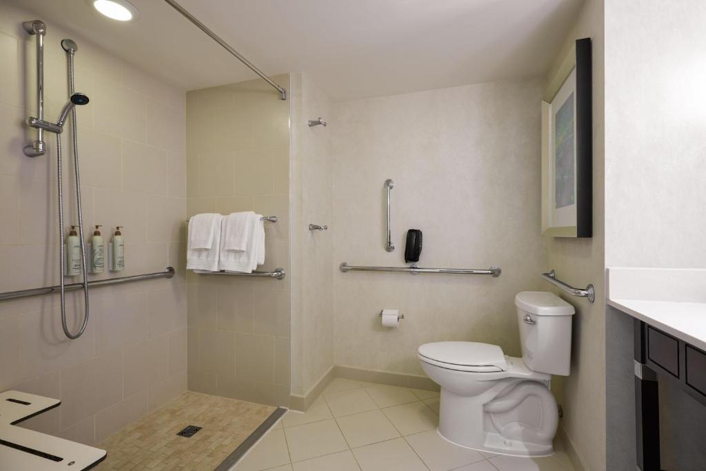 King Room with Transfer Shower – Mobility Accessible