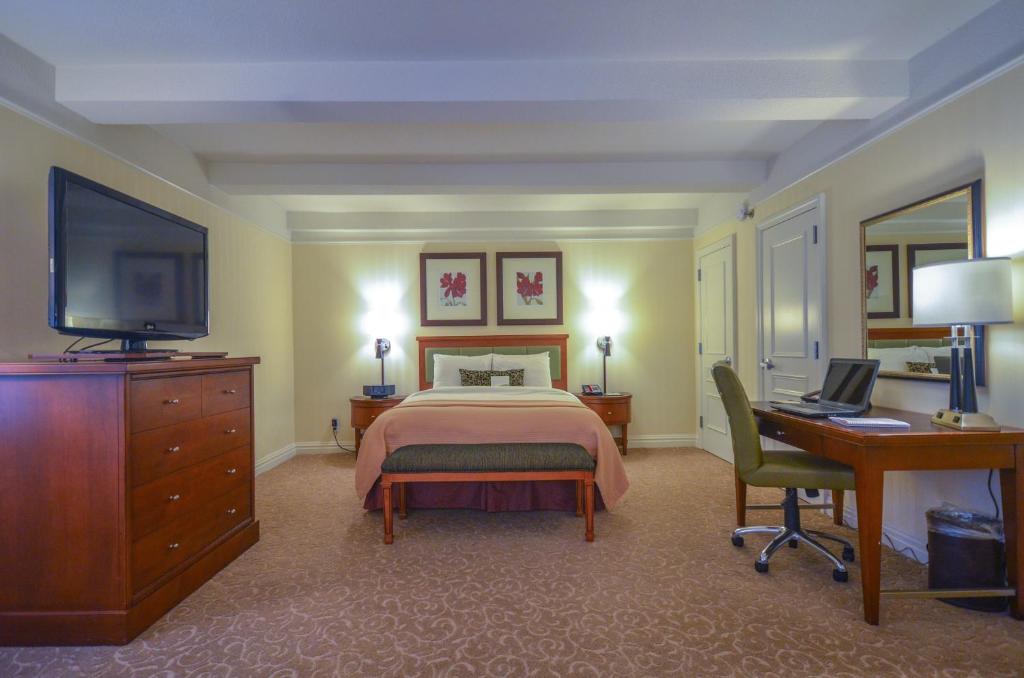 Executive Junior King Suite