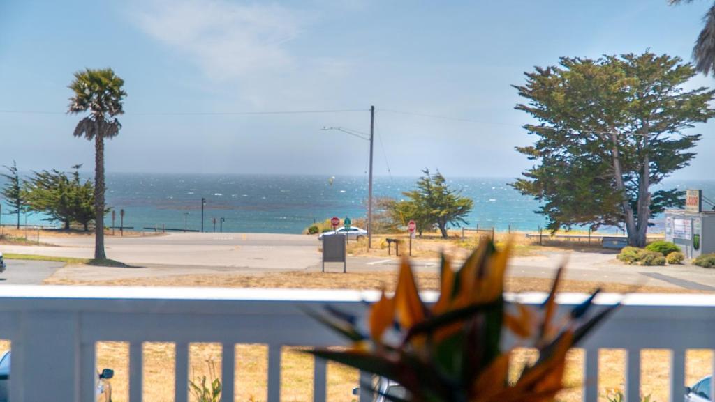 King Room with Ocean View