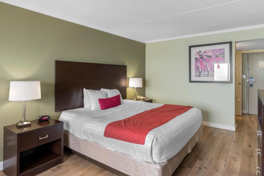 King Room – Disability AccessNon-Smoking