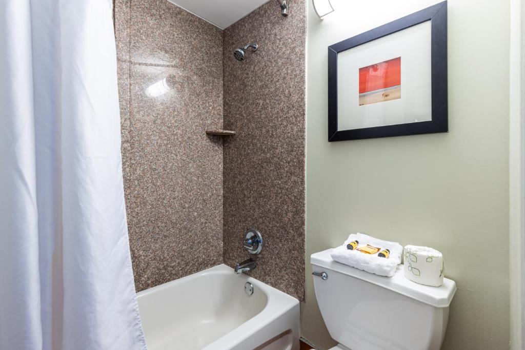 King Room with Ocean View – Non-Smoking