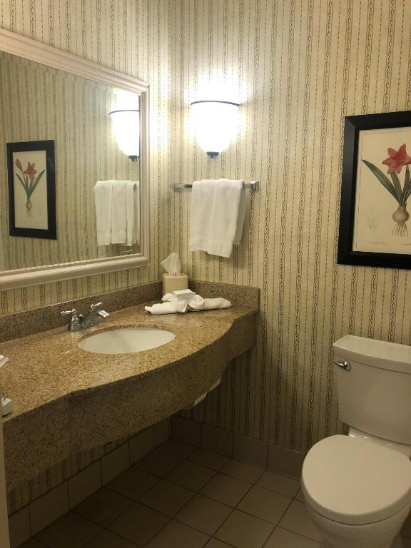 Double Room with Two Double Beds