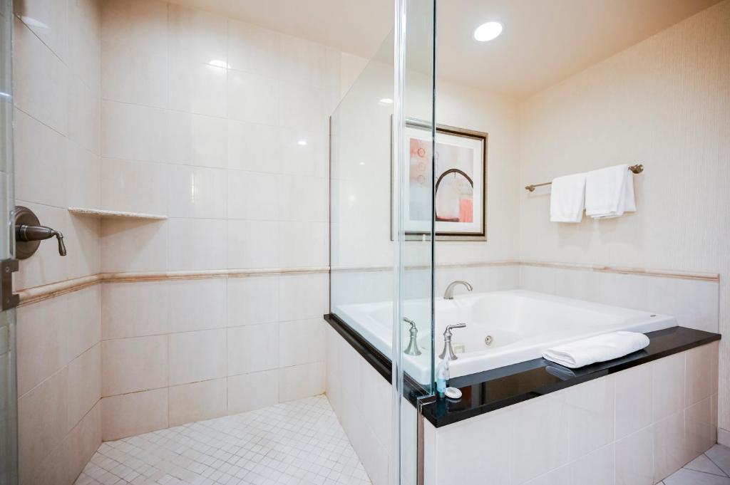 2 Deluxe Penthouse Suites with 2 Balconies and City View