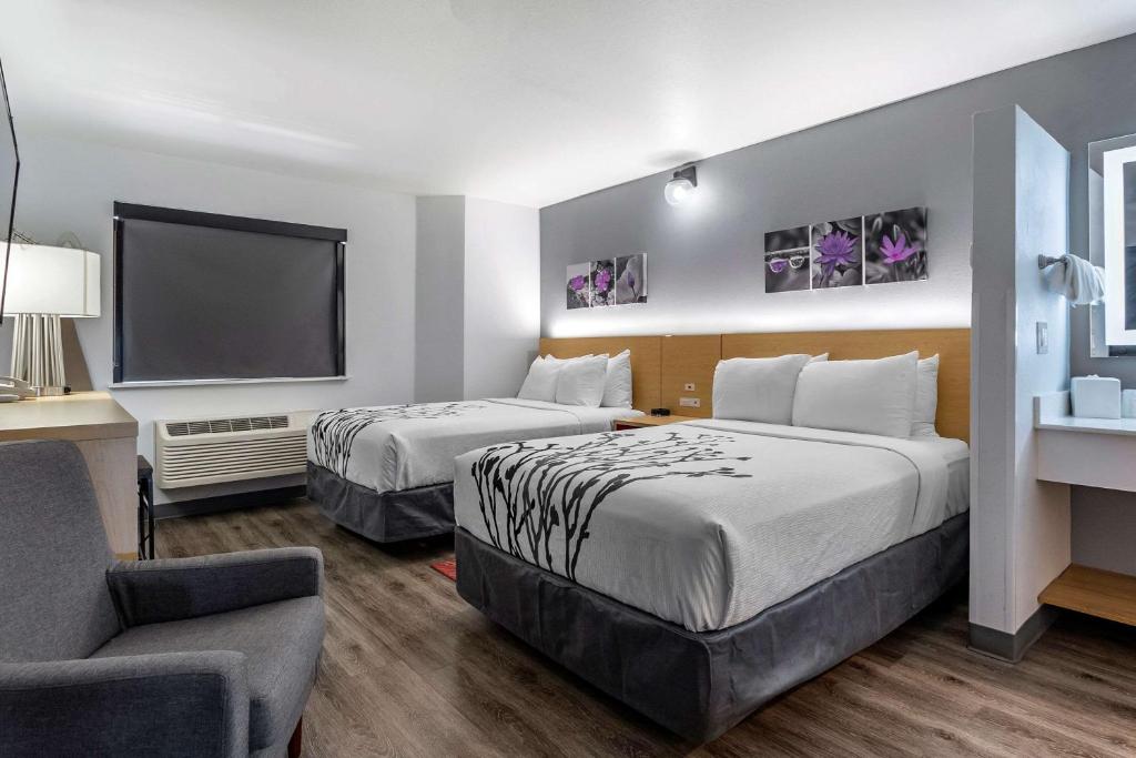 Standard Double Room with Two Double Beds – Non Smoking