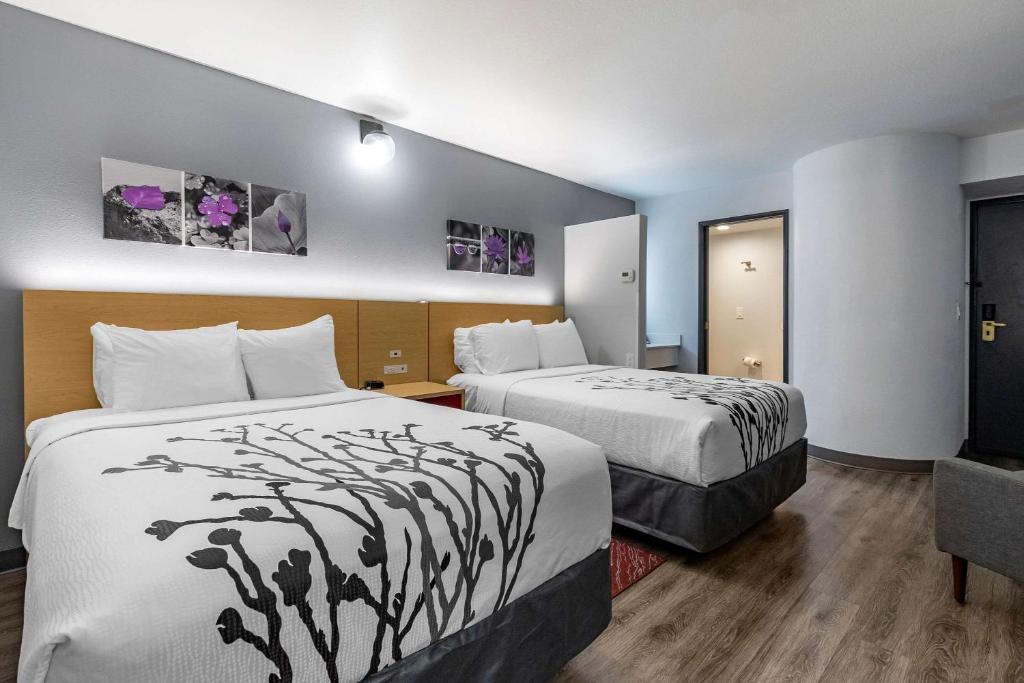 Standard Double Room with Two Double Beds – Non Smoking