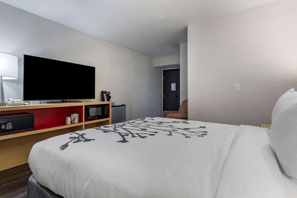 Standard Queen Room – Non Smoking