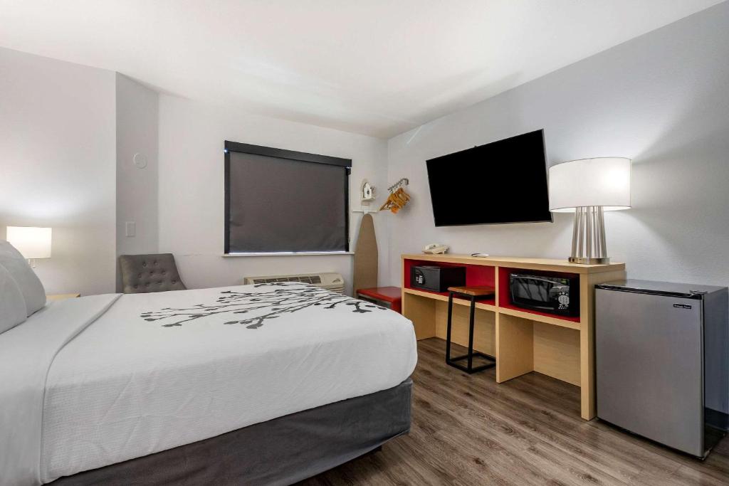 Standard Queen Room – Non Smoking