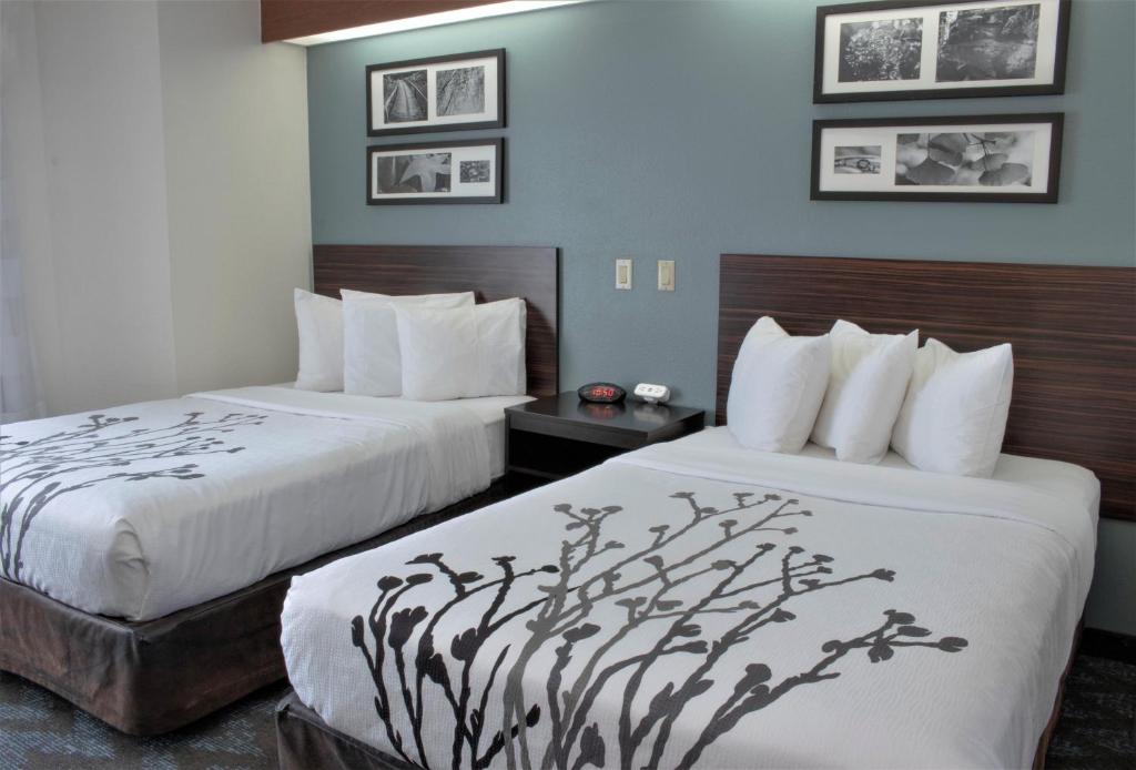 Double Room with Two Double Beds – Non-Smoking