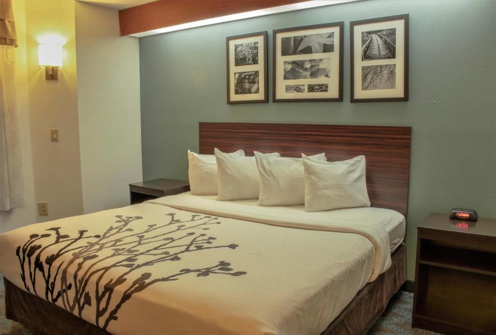 King Room – Non-Smoking