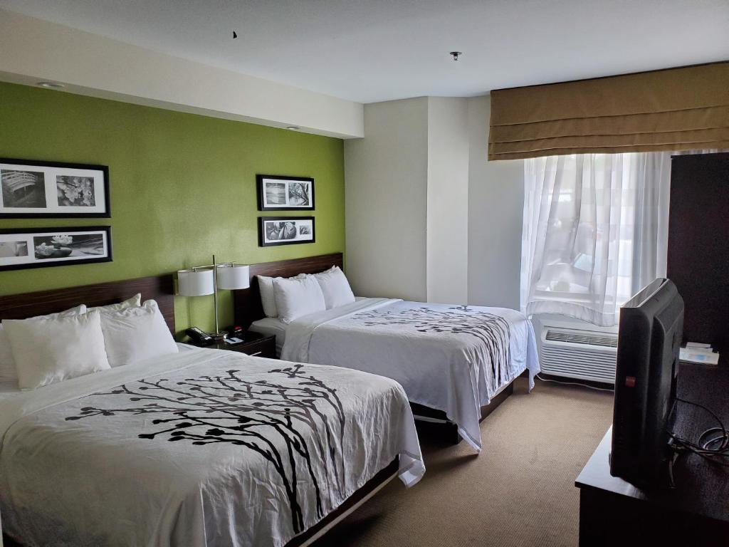 Standard Queen Room with Two Queen Beds – Non-Smoking