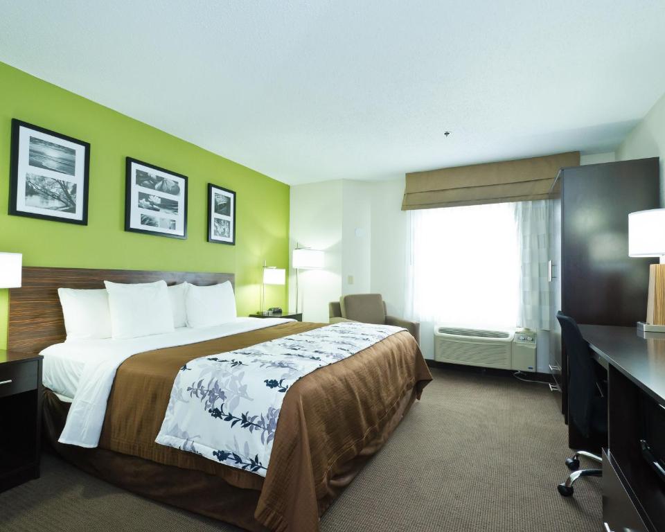 King Room – Non-Smoking