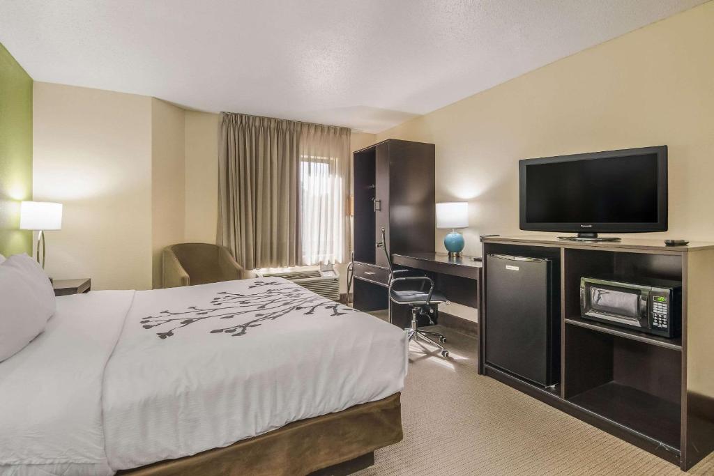 King Room – Non-Smoking