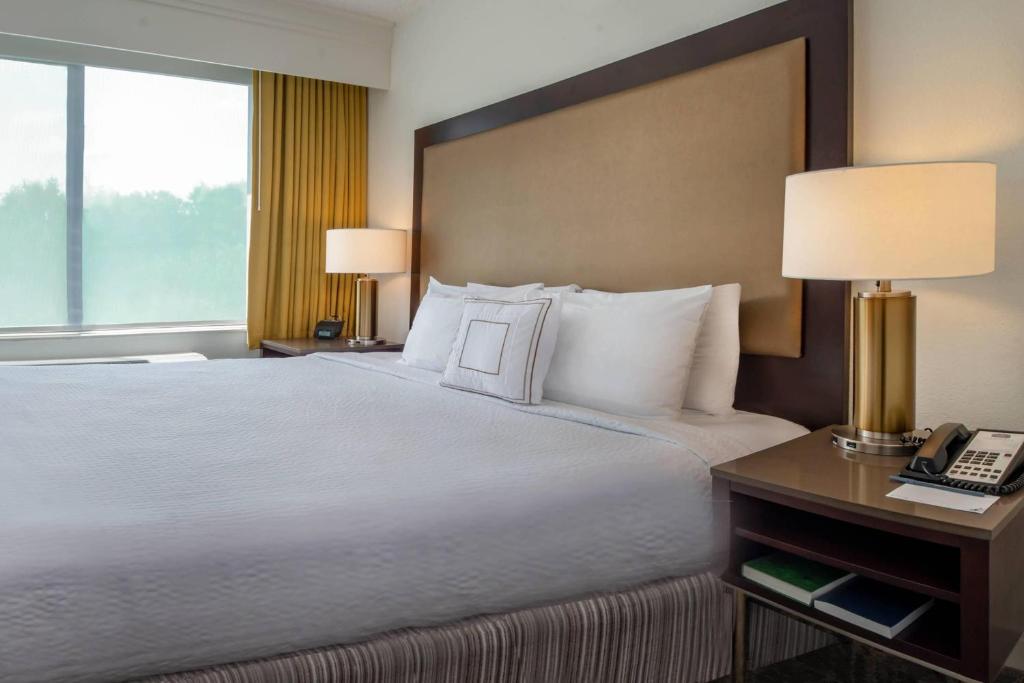 King Suite with Sofa Bed