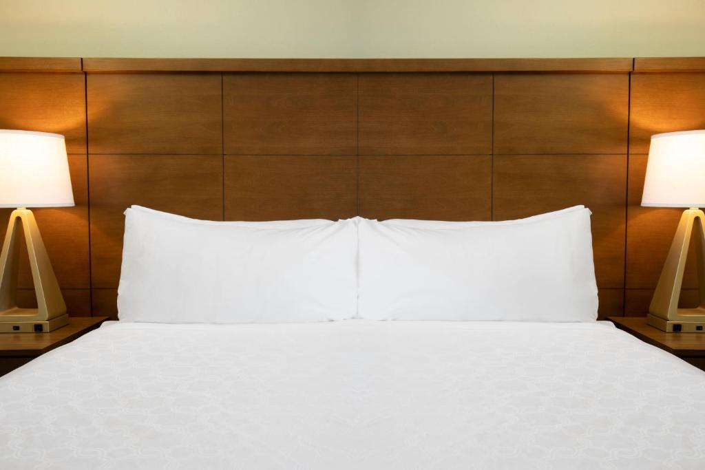 One-Bedroom King Suite with Sofa Bed