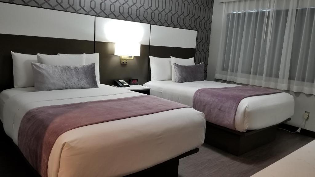 Double Room with Two Double Beds – Walk-in Shower