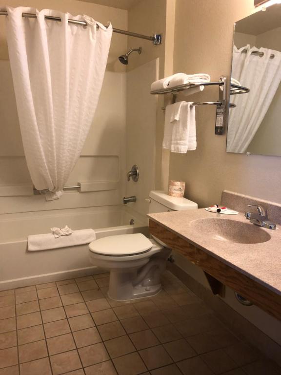 Studio Suite with Two Double Beds – Non-Smoking