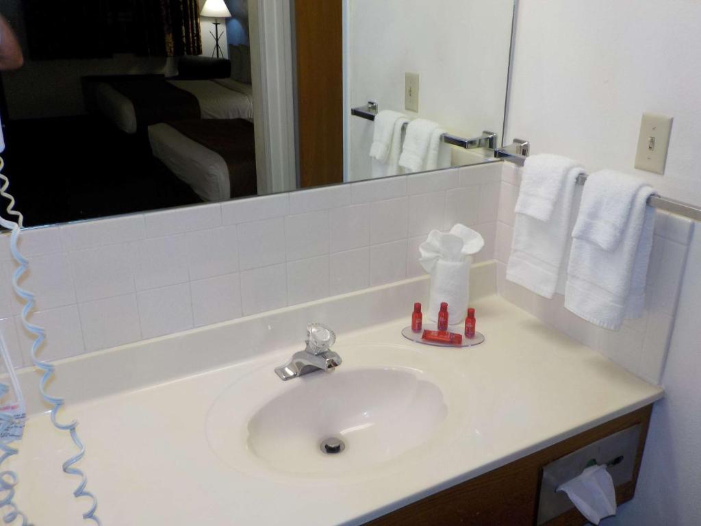 King Room – Pet-Friendly