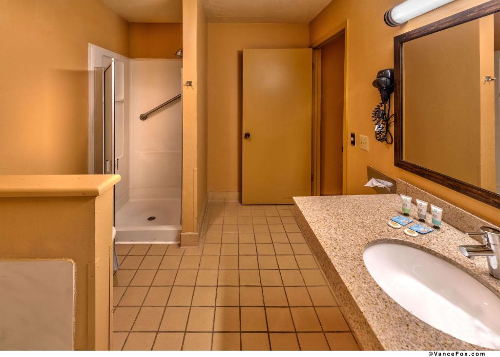 King Room with Walk-In Shower – Disability Access