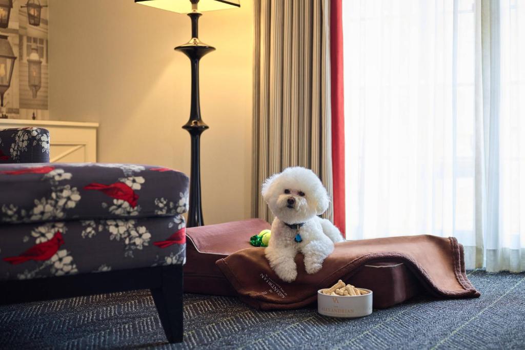 Queen Room – Hearing Accessible