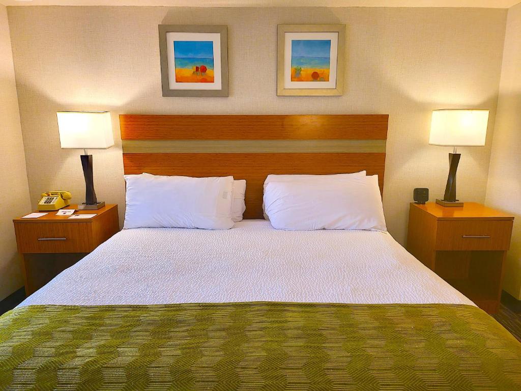 King Suite with Sofa Bed