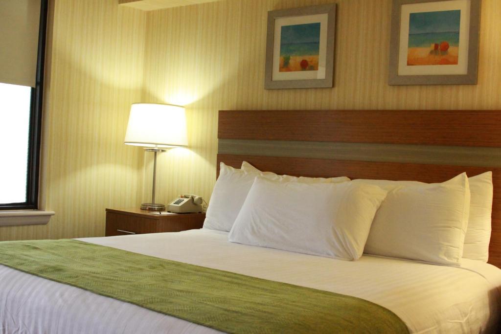 King Suite with Sofa Bed