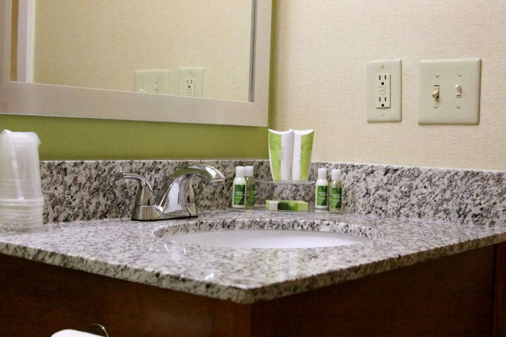 King Suite with Sofa Bed