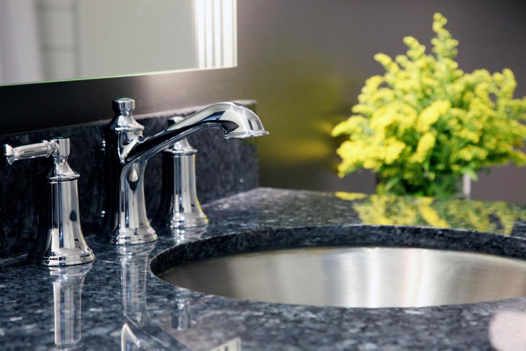 One-Bedroom Queen Suite