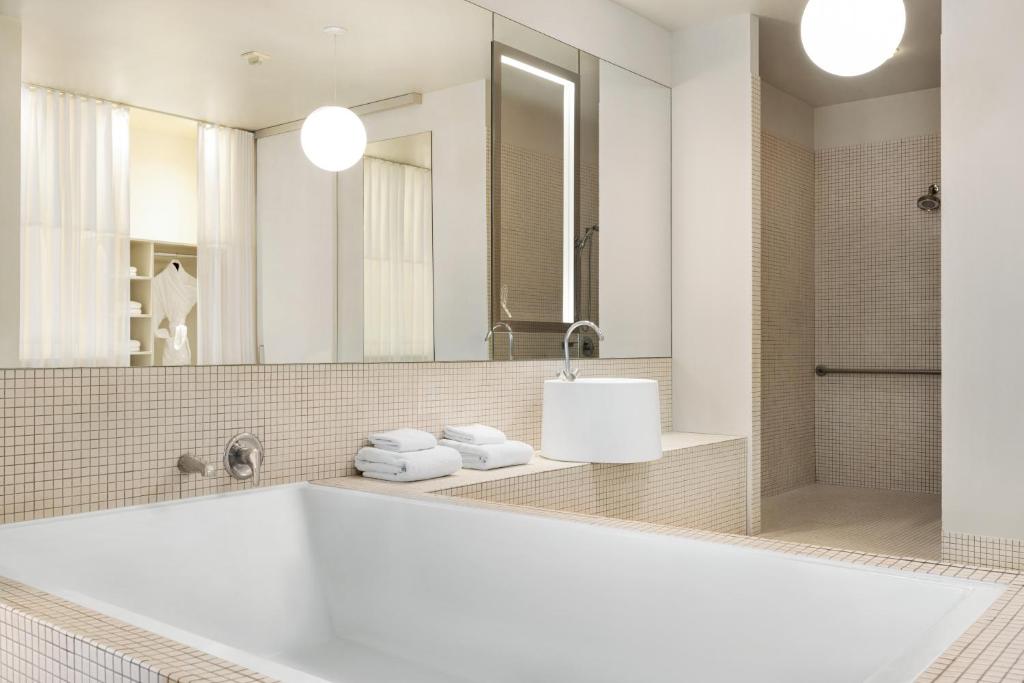 Delphi Suite Mobility and Hearing Accessible with Roll In Shower