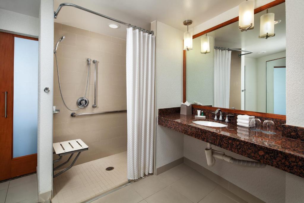 Accessible room Roll-In Shower City View