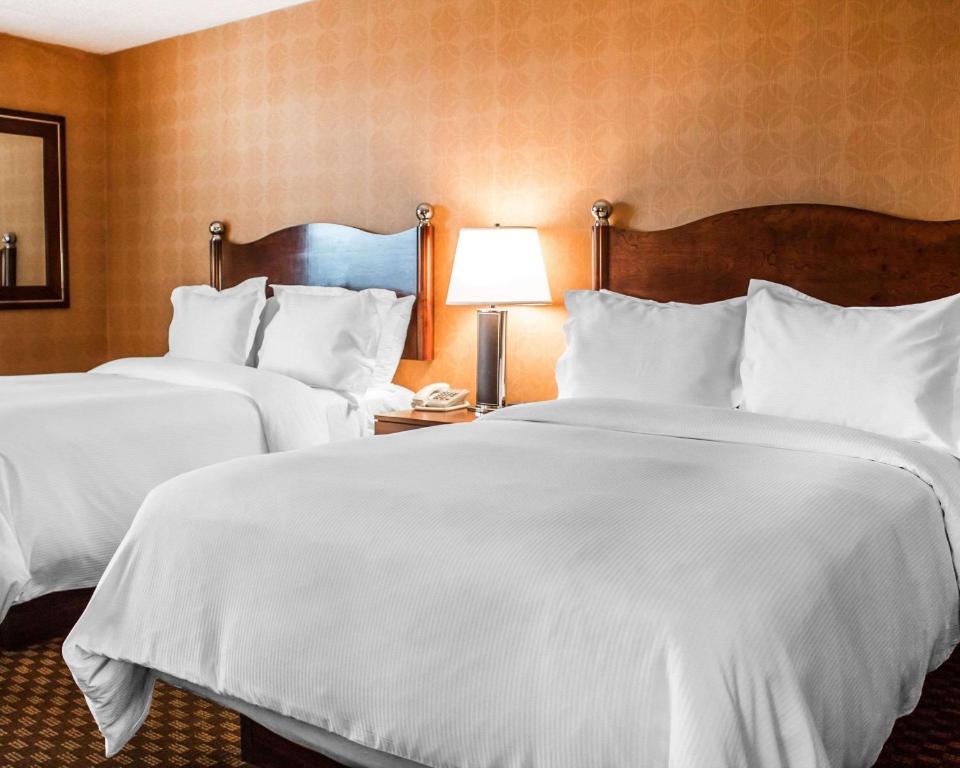 Standard Double Room with Two Double Beds – Non-Smoking