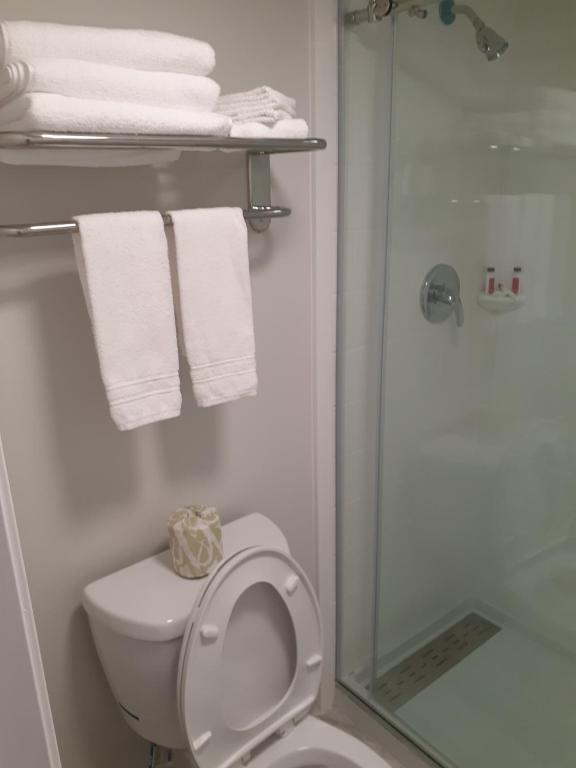 Queen Room with Two Queen Beds – Non-Smoking