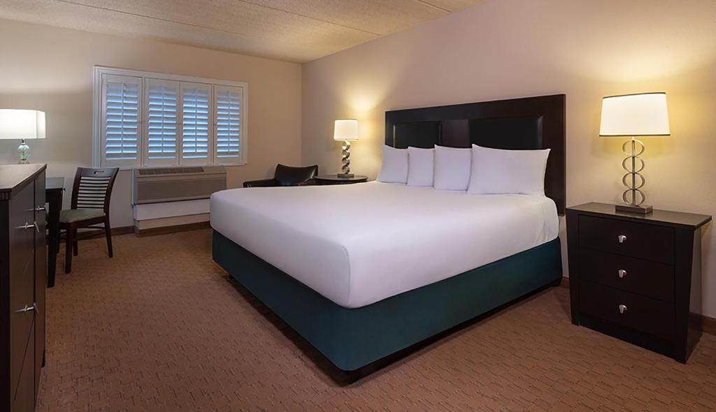 EAST VIEW ROOM 1 KING NON-SMOKING