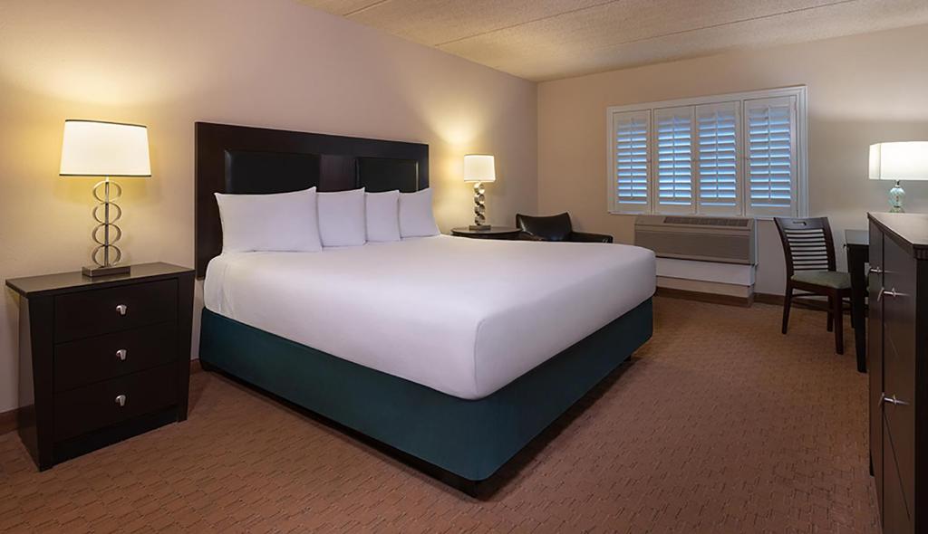 EAST VIEW ROOM 1 KING SMOKING