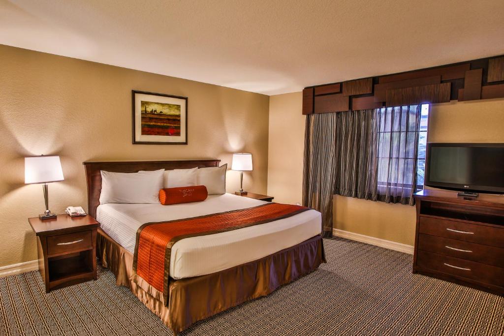 Executive Smoking Suite