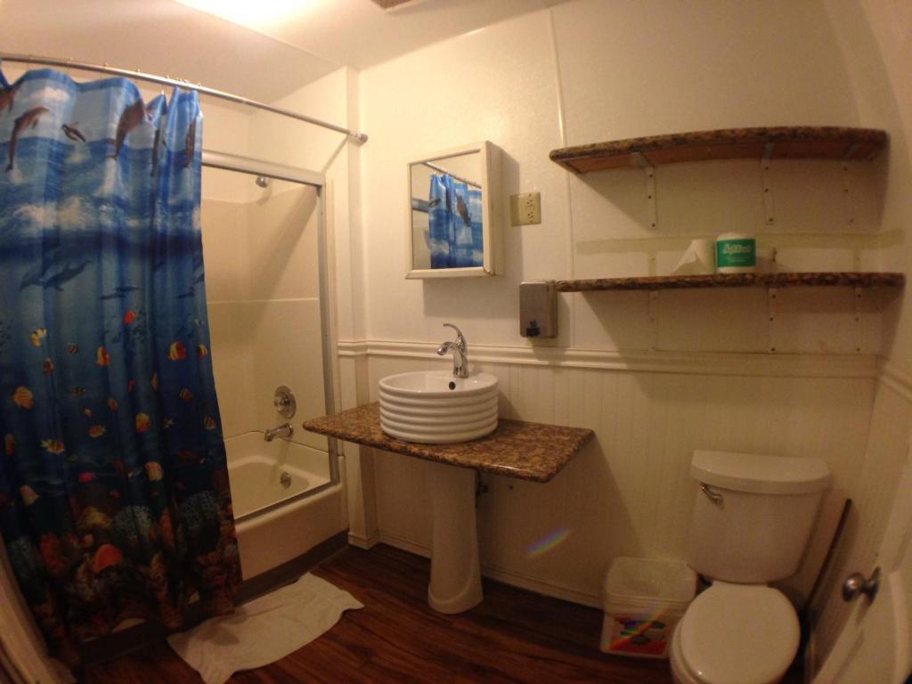 Single Bed in Mixed Dormitory Room