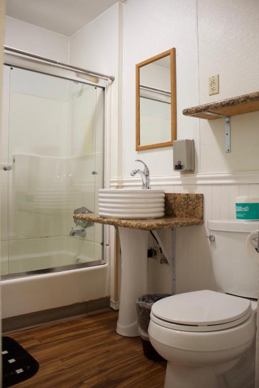 Single Bed in Mixed Dormitory Room