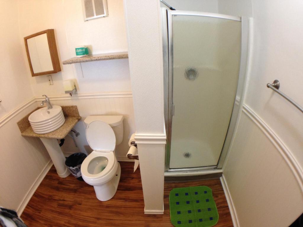 Single Bed in Mixed Dormitory Room