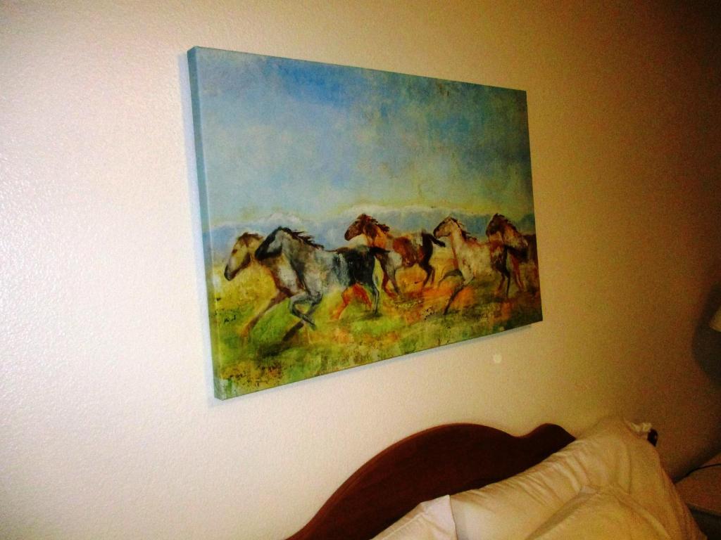 Wild Horse Room with a King Bed Shower – Mountain View