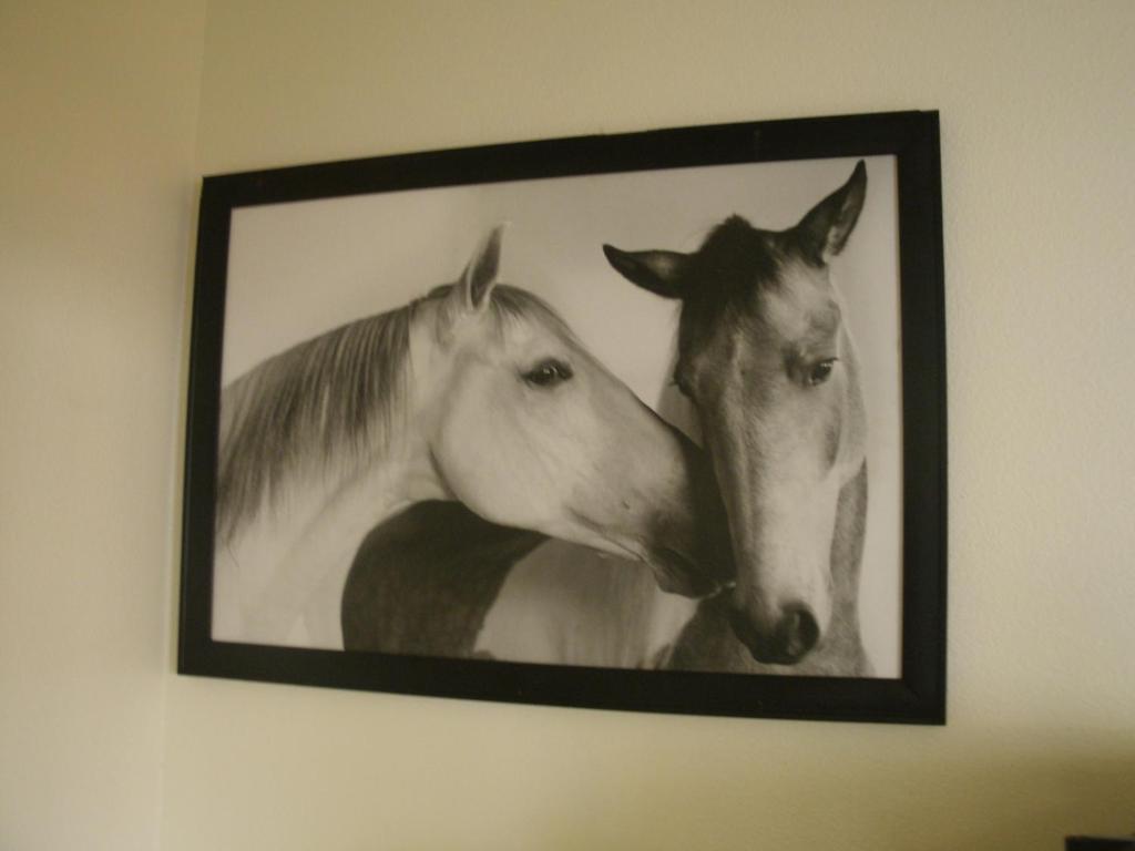 Wild Horse Room with a King Bed Shower – Mountain View