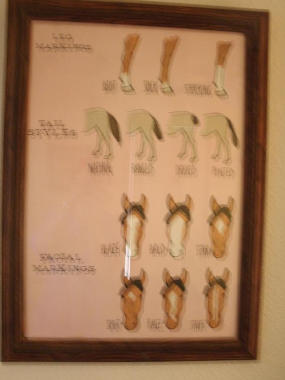 Wild Horse Room with a King Bed Shower – Mountain View