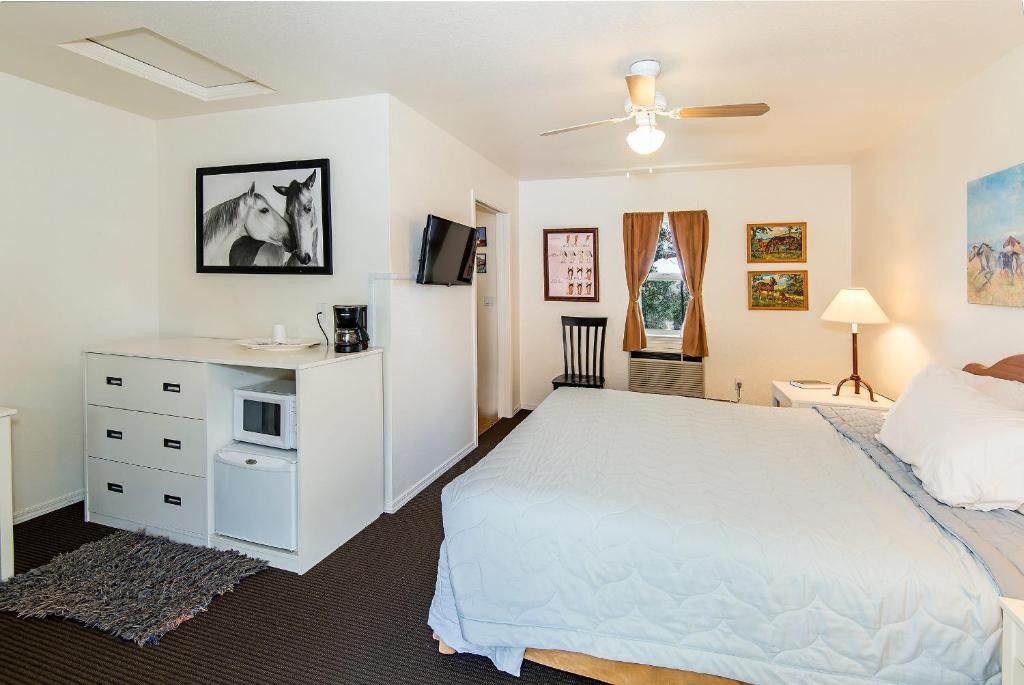 Wild Horse Room with a King Bed Shower – Mountain View